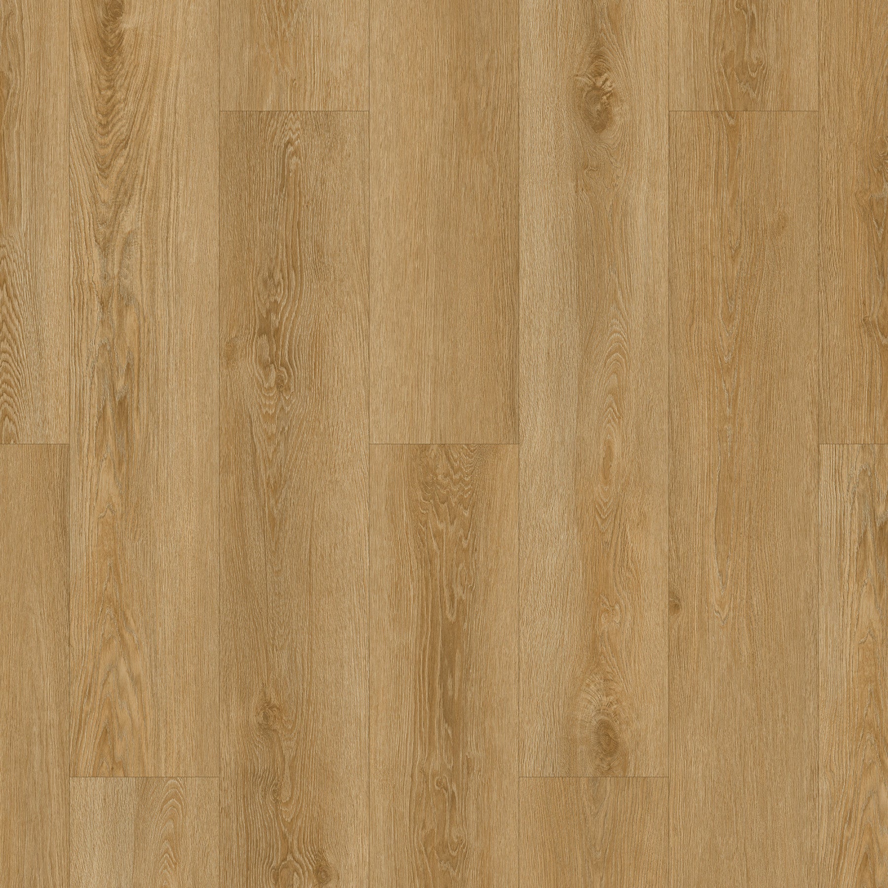 Lewis Abbott Holland Park Classical Honey Oak