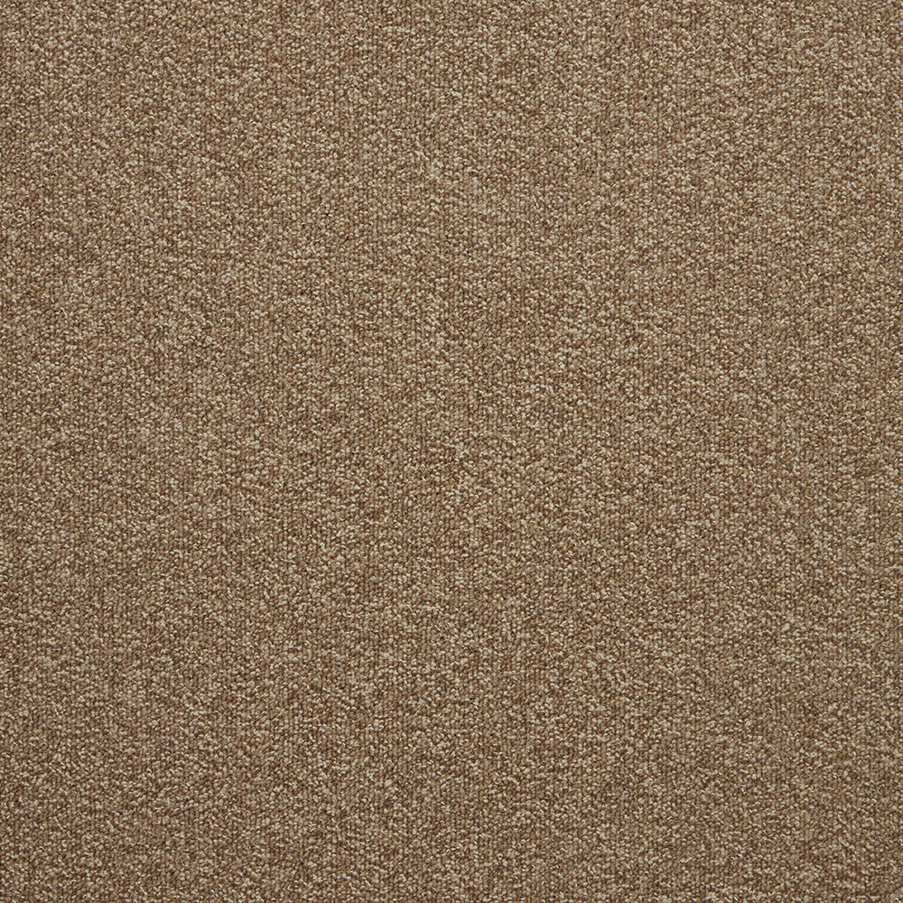 The Floor Hub Carpet Tiles - Expression Style Buy in the UK