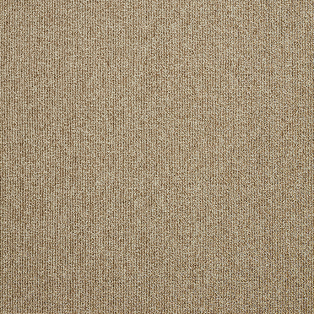 The Floor Hub Carpet Tiles - Infusion Plain Spice Buy in the UK