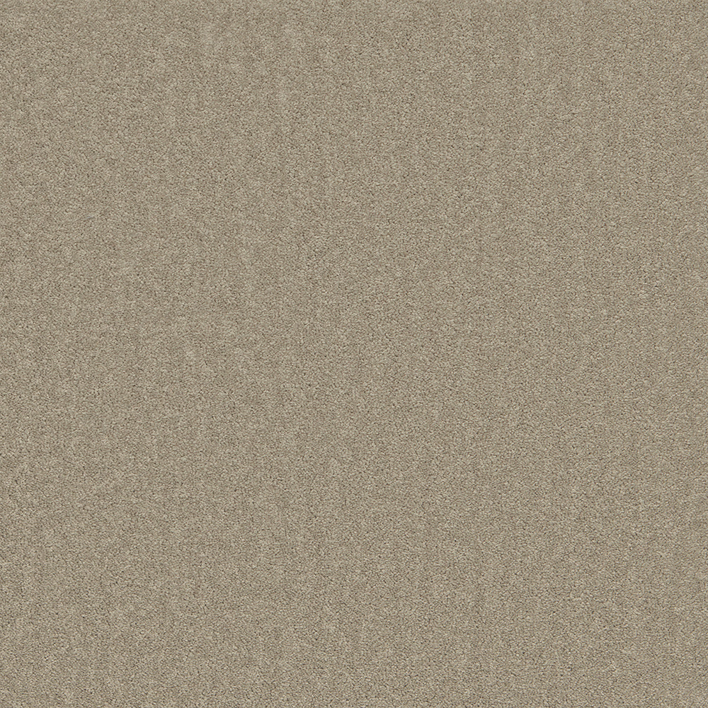 The Floor Hub Carpet Tiles - Prism Puritan Beige Buy in the UK