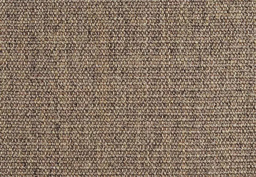 Alternative Flooring Sisal Boucle Buriton Carpet