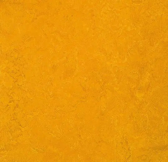 Forbo Marmoleum sheet Marbled 3125 golden sunset