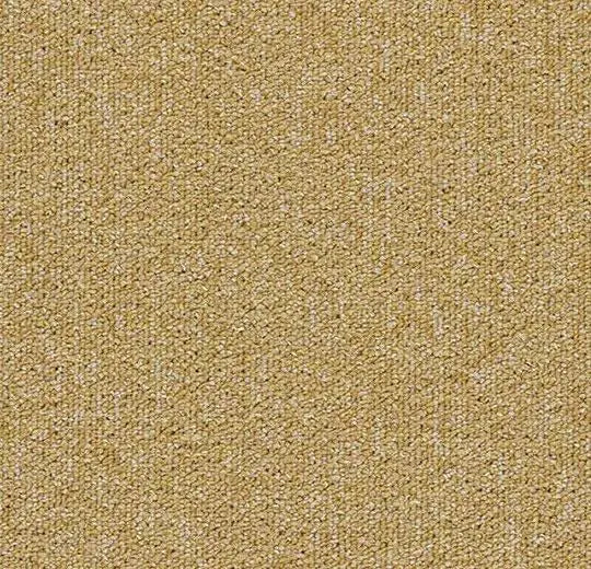 Tessera teviot 4202 buttercup carpet tile